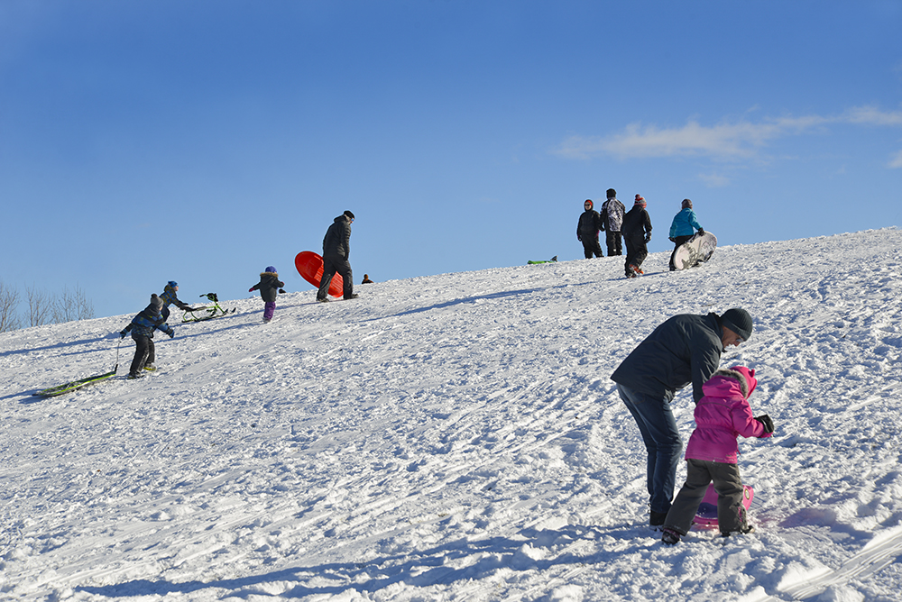 Tobogganing at Zwick's Park